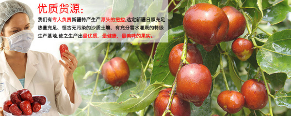 批发零售乐维伊和田骏枣与和田玉枣子——优质五星红枣的全面解析